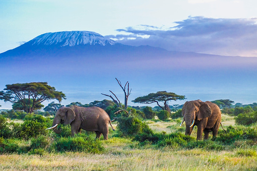 Kenya, Safari places